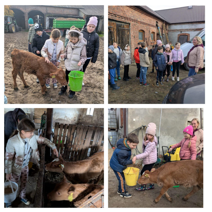 uczniowie karmią zwierzęta