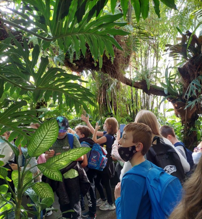 Uczniowie klasy 4b podczas zwiedzania palmiarni