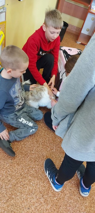 uczniowie klasy 2d na spotkaniu z hodowcą shih tzu,trzymają na rękach pieski rasy shih tzu