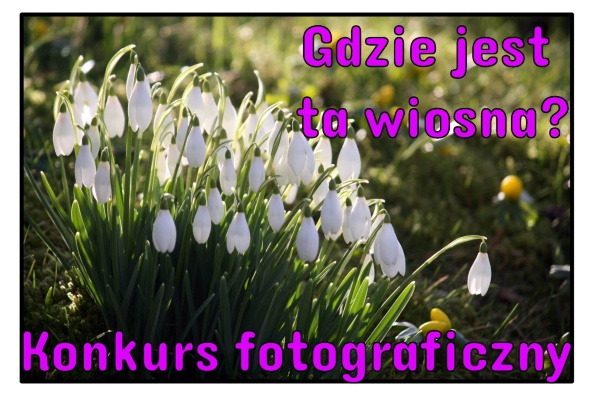https://www.sp2sroda.pl/files/content/news-lead/ogolne/wiosna_328009381_582762543750658_3885230180261684236_n.jpg